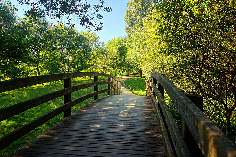 Fototapeta Drevený most v parku 24780